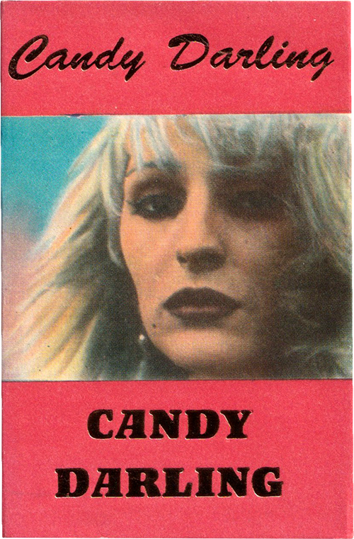 Candy Darling Book Cover