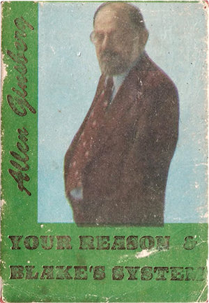 Your Reason & Blake's System Book Cover